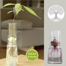 Glass Planter Bulb Vases Tree of Life with high top Ø 90 mm or Ø 130 mm