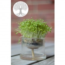 Self-Watering Glass Planter Tree of Life – Ø 80 mm