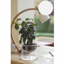 Self-Watering Glass Planter Flower of Life – Ø 160 mm