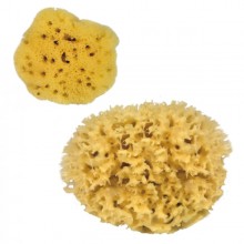 Natural Sponges Bath Sponges different sizes