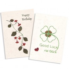 Greeting Cards GOOD WISHES Handmade Paper, Set of 2
