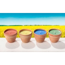 Rape Wax Candles with Natural Fragrance in Terracotta Pot
